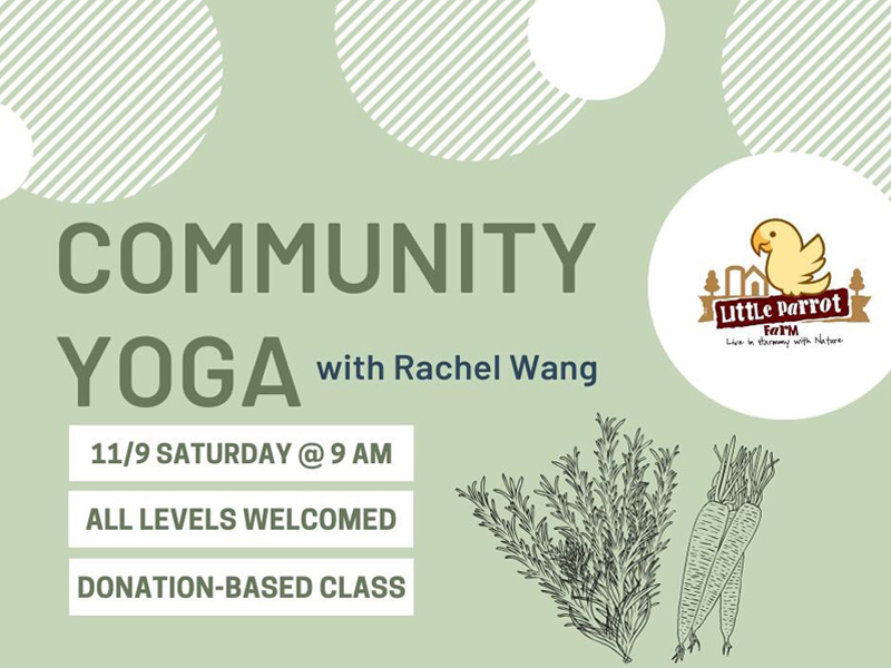 Yoga Saturday at Little Parrot Farm 11092019