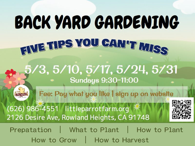 Back yard gardening online_Sunday, May 2020